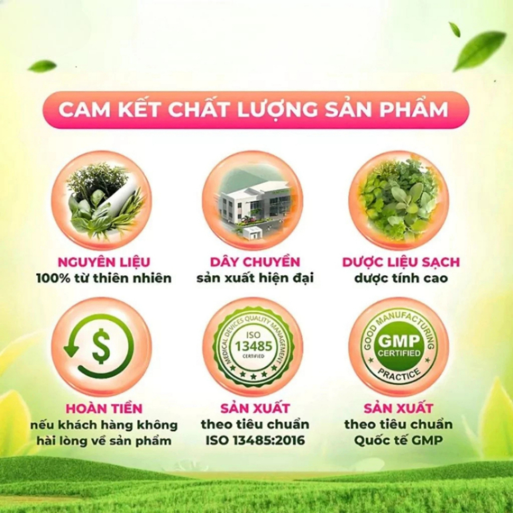 Trà Xạ Đen Linh Chi Mộc Tâm - Ảnh 4