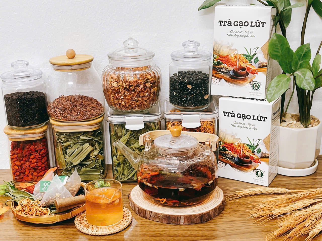 Trà Gạo Lứt Tam Giác Mộc Tâm - Ảnh 2